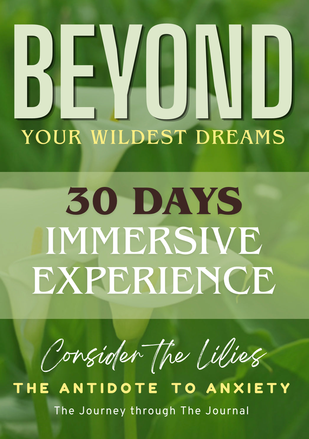 Beyond Your Wildest Dreams - 30 Day Immersion